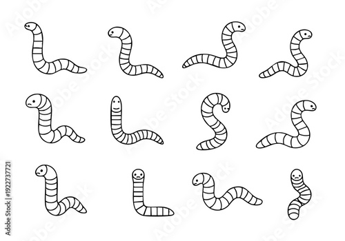 Handdrawn Lineart Different Poses Worm Creature Animal Doodle Illustration