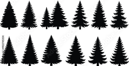 WebVector black silhouettes of evergreen pine, spruce and fir trees in various shapes isolated on white background for forest nature designs.