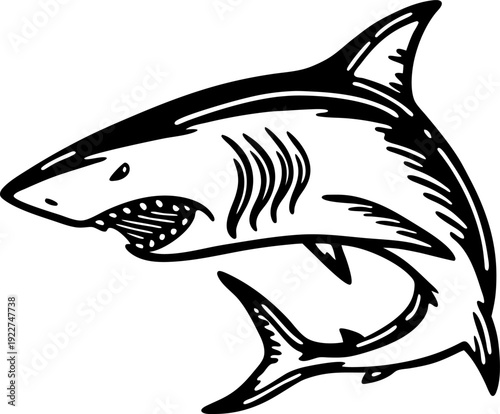 shark illustration in black and white with open mouth and sharp teeth, ocean predator design