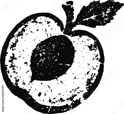 Vintage peach illustration with leaf and pit detail in black and white