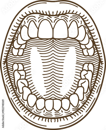 open mouth illustration with detailed teeth and tongue line art