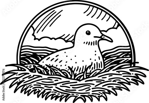 Seagull sitting on nest by the sea shore with cloudy sky background, hand drawn linear illustration