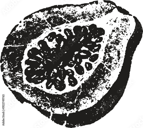 Black and white illustration of a sliced fig fruit showing seeds and textured skin detail