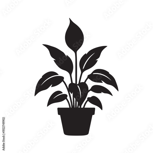 Potted Peace Lily Silhouette Vector - Spathiphyllum Houseplant and Elegant Indoor Floral Graphic