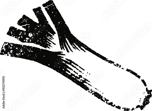 Vintage black and white illustration of leek vegetable with detailed texture and shading