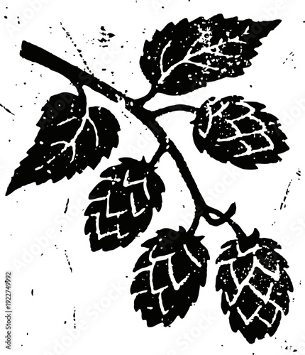 Vintage hop branch illustration with cones and leaves, botanical design for beer and brewing themes