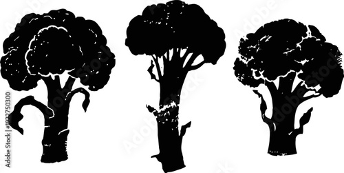 Black broccoli silhouette set with three different broccoli vegetable shapes isolated on white background
