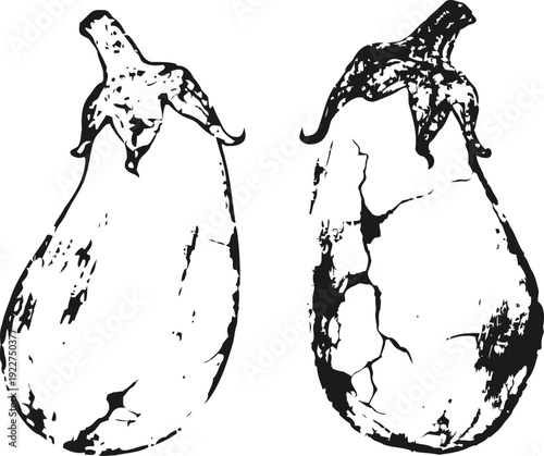 Two cracked eggplants outline drawing hand drawn vegetables with damaged peel texture