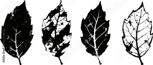 black and white grunge leaf silhouettes set with varied textures and vein details isolated on white background