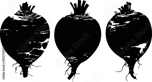 three black silhouette beets with roots and leaves organic vegetable farming illustration