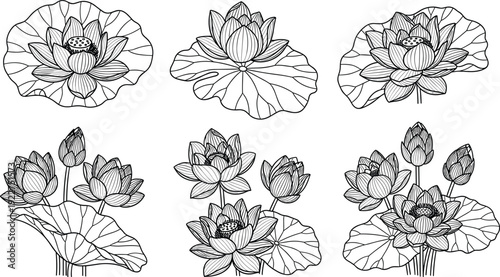 WebThese lotus illustrations are elegant and versatile. To help you get these ready for a platform like Adobe Stock, I’ve put together a strategy focusing on high-volume search terms 