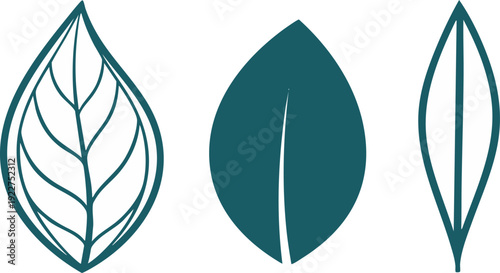Set of three stylized teal green leaf icons in different minimalist designs perfect for nature, ecology, and wellness branding