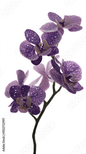 Exquisite crystal orchid flowers