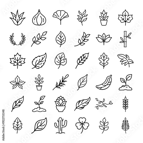 Line Art Botanical Icons Set of Various Leaves and Plants Isolated on White Background