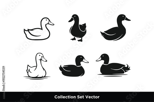 Swimming and Walking Duck Bird Silhouette Icon Set