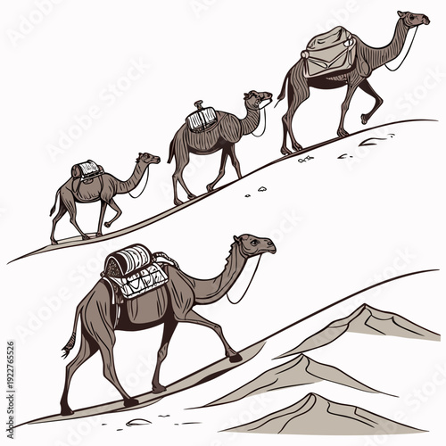 Camels walking on a sandy hill
