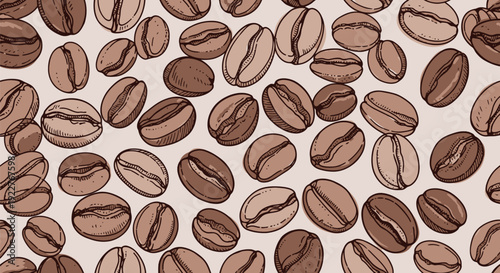 A collection of scattered coffee beans with an organic handdrawn appearance, perfect for food and beverage industry marketing materials or rustic caf branding.