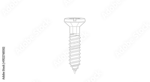 Screw Isolated on White Background.