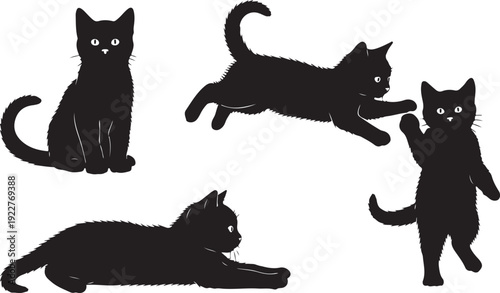 Four black cats in various poses against a white background