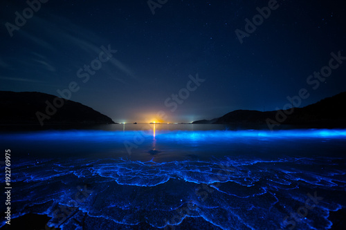 Foto Bioluminescent glowing waves, known as blue tears, crashing on the beach at night under a starry sky