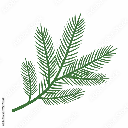 Tableau sur toile Green Fir Tree Branch with Needle-like Leaves.