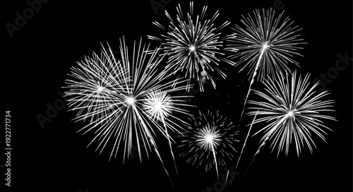 Fireworks display in the night sky, a celebration of light and color.