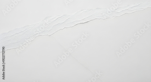 Torn white paper texture with rough edges and creased surface for design background use