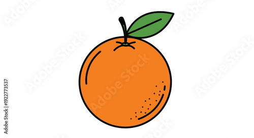 Vibrant orange fruit illustration with leaf on white background