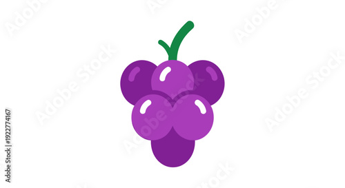 Vibrant purple grapes illustration isolated on white background for design