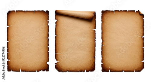 Set of three vintage aged paper textures with torn edges and curled parchment design elements