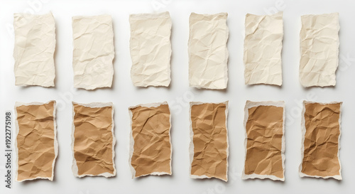Collection of crumpled and torn paper strips in varying shades of white and brown tones.