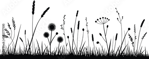 Black silhouettes of wild grasses and flowering plants with detailed leaves, stems, and seed heads, perfect for botanical design