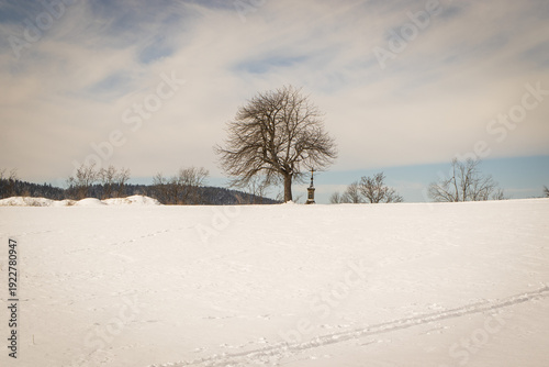 tree on the horizon on a snow-covered hill with a blue sky and a cross