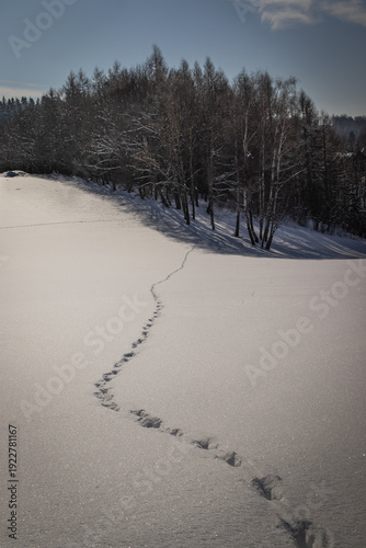 footprints in the snow