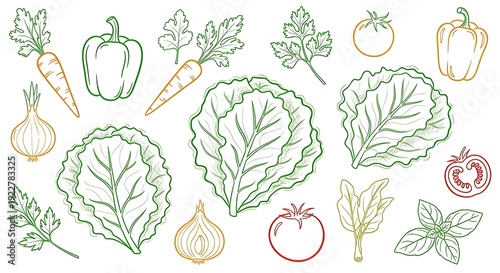 Fresh vegetables and herbs outlined on white background for culinary design