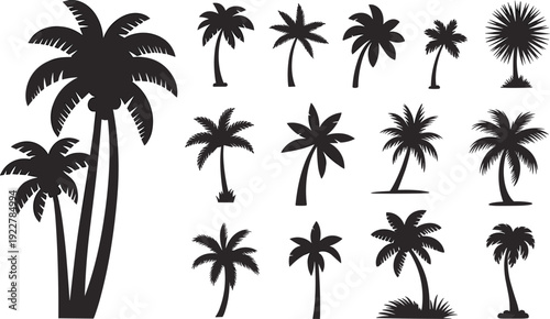 Large set of tropical palm tree silhouettes isolated on white background, black coconut palm vector collection for summer beach design, island paradise branding and botanical illustration