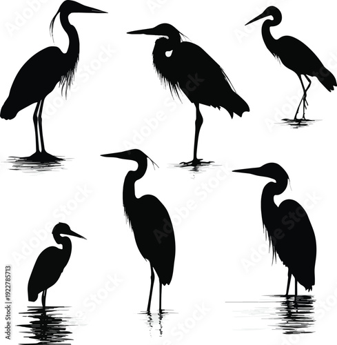 Create a sets of heron silhouettes vector art with white background