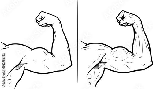 Bicep flex outline vector illustration in two styles
