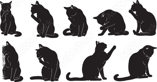 Black silhouettes of cats in various poses and positions