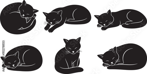 Six black cats in various sleeping positions on a white background
