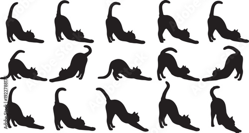 A collection of diverse black silhouettes of cats in various dynamic poses