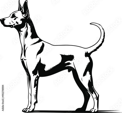 Pure black and white vector illustration of a standing dog in side view, simple contour drawing, no inner shading 3