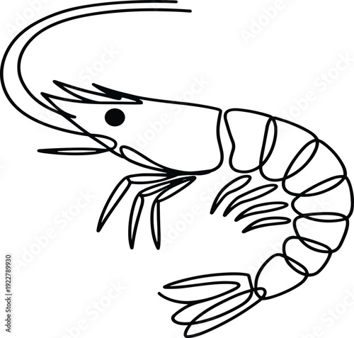 Black and white line of a shrimp with segmented body and antennae seafood crustacean
