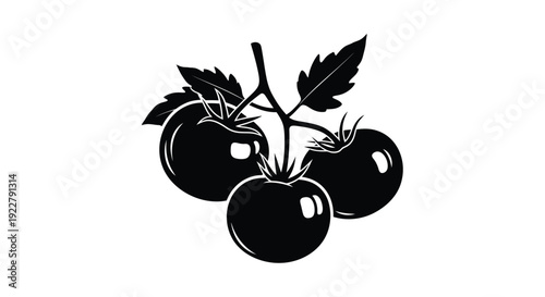 Black and white illustration of three tomatoes on a vine
