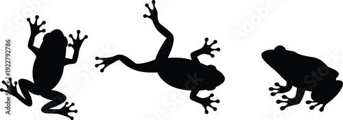 Set of frog silhouettes isolated on white background, black tree frog vector collection in different poses for wildlife design, nature illustration and tropical animal themes
