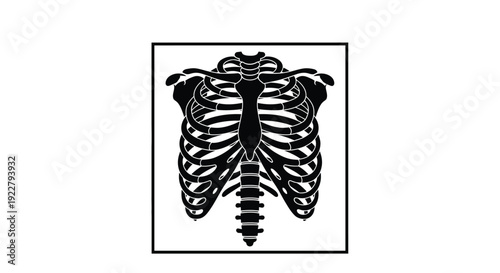 Stylized black and white illustration of a human ribcage and spine