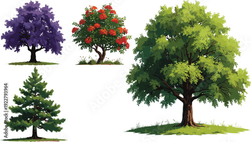 Flat vector illustration set of diverse trees including a large oak, purple flowering jacaranda, red berry bush, and a green pine needle tree.