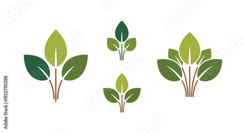Leaf bouquet Line contemporary color design vector