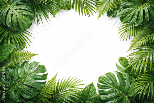 Vibrant tropical foliage frame creating natural border with monstera leaves and palm fronds on pristine white background