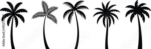 Set of tropical palm tree silhouettes isolated on white background, black coconut palm vector collection for summer beach design, island paradise branding and exotic botanical illustration